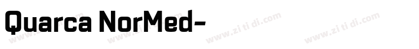 Quarca NorMed字体转换
